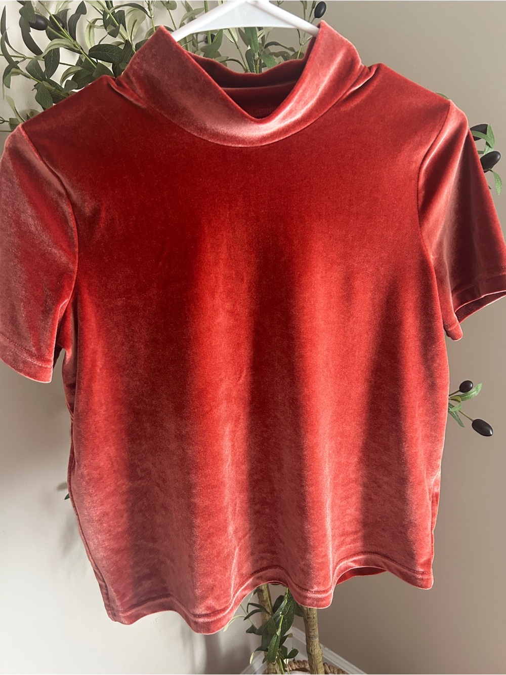 Orange red mock neck Madewell top